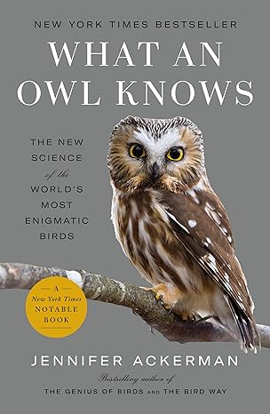 What an owl knows